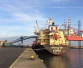 Grain prices continue to bounce along the bottom