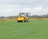 Low energy kelp biostimulant moves closer to commercialisation