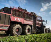 British Sugar announces new forward index-linked contract