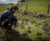 Still time to submit species recovery ideas