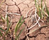 Widespread impact of extreme weather revealed in survey