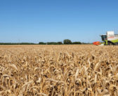 No easing of market pressures
