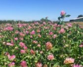 Financial sustainability the focus for farming conference