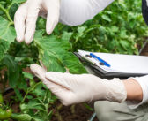 New ADOPT funding round opens