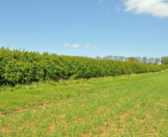 Prepare early for 2026 Capital Grants application