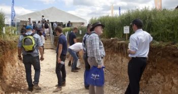 Exhibitors set their sights on Cereals 2022