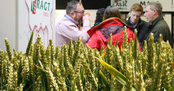 RAGT Seeds at LAMMA 22 – intelligent seed breeding for forward-thinking farmers