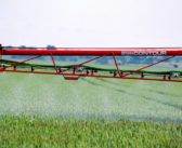 AIC seeks sector head for strategic liaison role