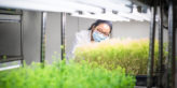 Gene editing red tape cut