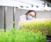 New research centre to drive smart farming