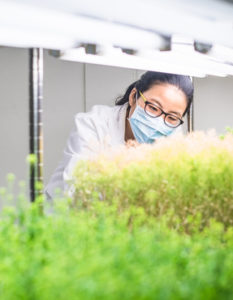 Gene editing red tape cut