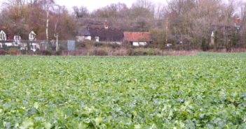 Irish farmers gain new spring herbicide for oilseed rape