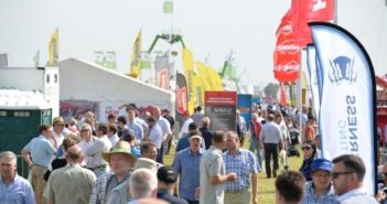 Big names are back at Cereals 2022