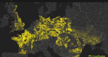 High prices lead to increase in oilseed rape acreage across Europe