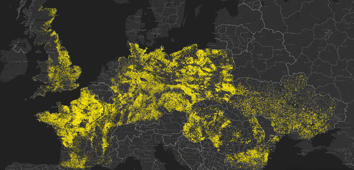 High prices lead to increase in oilseed rape acreage across Europe