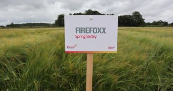 High yielding Firefoxx offers genetic diversity for malting barley growers and the distilling industry