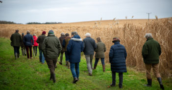 Cheshire farm walk showcases crop providing energy security in the UK