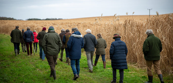 Cheshire farm walk showcases crop providing energy security in the UK