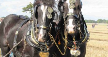 British ploughing visits new county