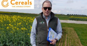 Cereals Crop Plots – An interview with LSPB’s Chris Guest