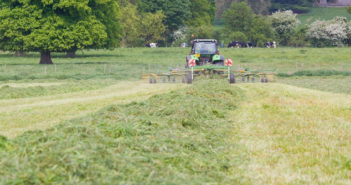 ptimising grassland productivity needs a focussed approach