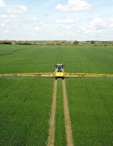 High levels of septoria found in wheat plant samples as T2 sprays are prepared