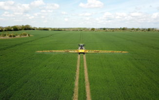 High levels of septoria found in wheat plant samples as T2 sprays are prepared