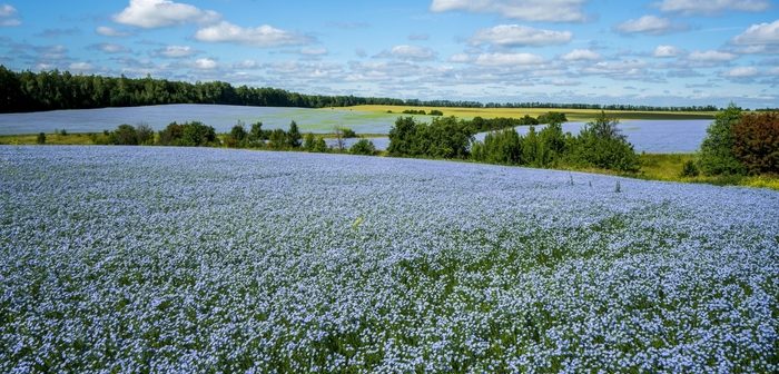 regenagri launches carbon standard to help fund the transition to regenerative agriculture