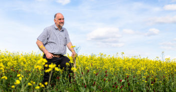 Considering conventional oilseeds