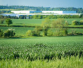 Variable phosphorus levels require tailored management