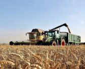 Weather continues to influence markets