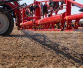 Study reveals differing actions of Group 15 herbicides