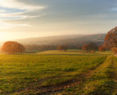 Funding doubts over Defra Farming Roadmap