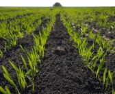 Key soil health threats revealed by study