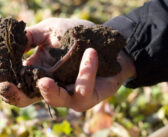 Sustainable farming podcast series launched
