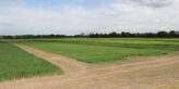 Field-scale trialling at Old Appleton