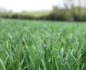 Revised RB209 published