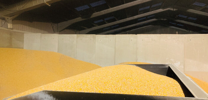 Lodi UK takes on Actellic insecticide range