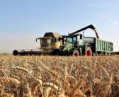 Earliest harvest on record according to AHDB data
