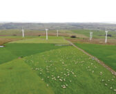 Clean energy advice at hand at Lamma