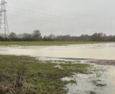 Test soils following extreme weather