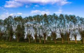 £150m on offer with Capital Grants reintroduction
