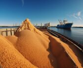 New year markets unchanged as supply pressures remain