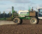 Don’t bank on chemistry alone with bean weed control