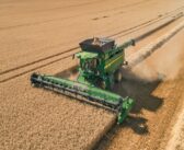 WASDE report a watchpoint with grain prices remaining low