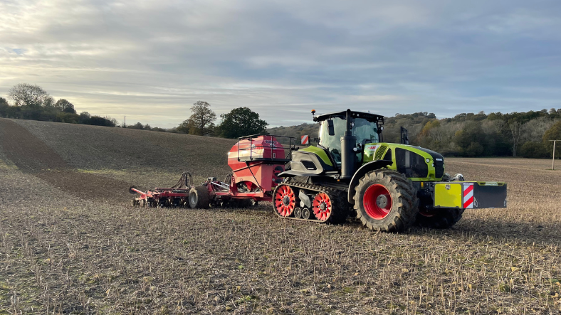 Delayed drilling winter wheat