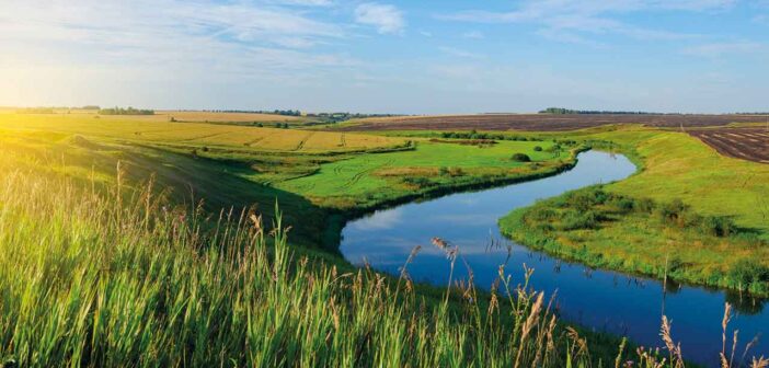New round of Severn Trent STEPS grants