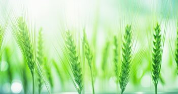 Secondary signing paves the way for precision breeding