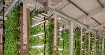 Collaboration aims to advance vertical farming
