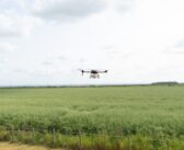 RASE awards entries open